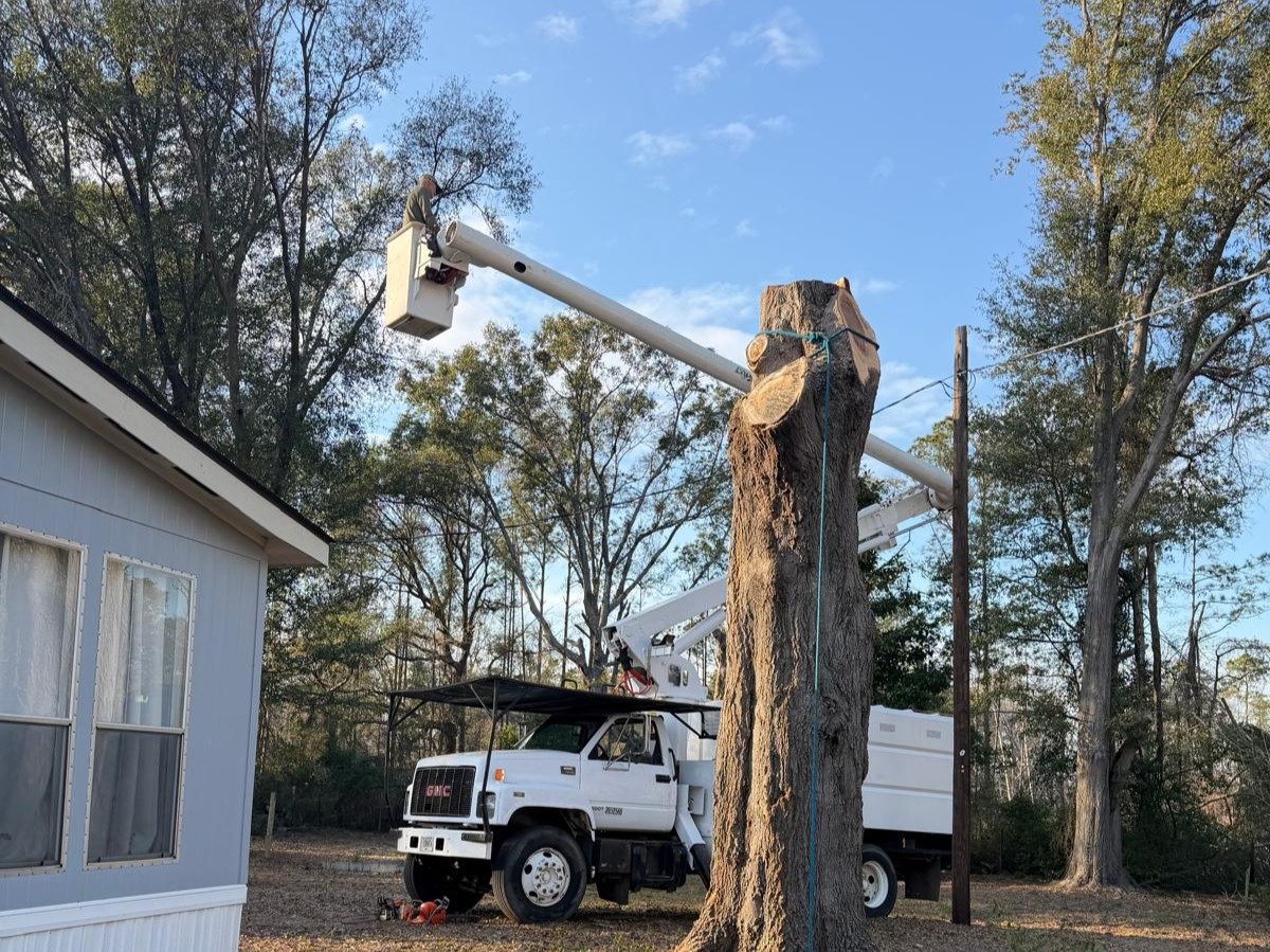 El Costeño Tree Service LLC